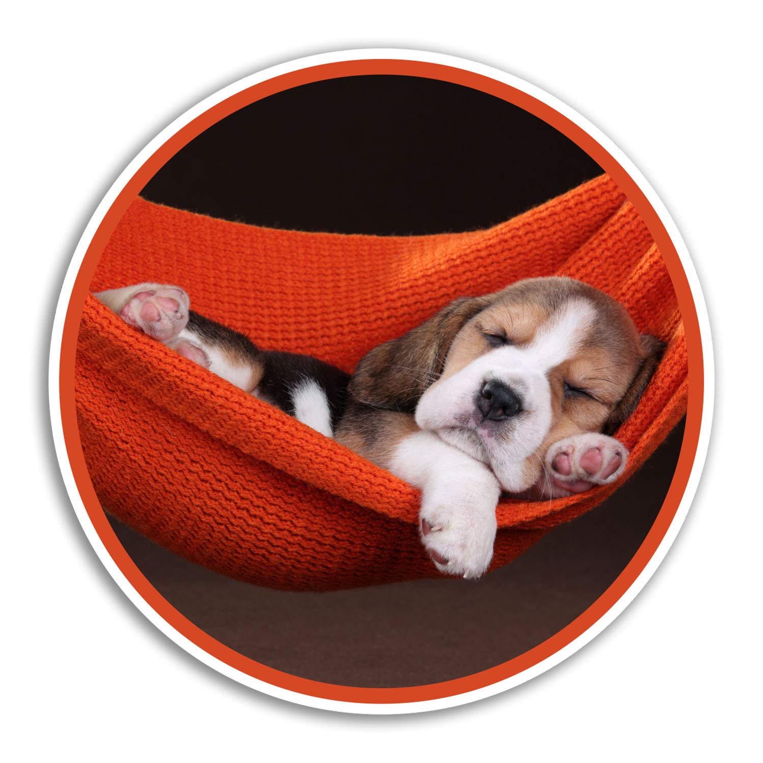 2 x 10cm Sleeping Beagle Puppy Vinyl Stickers - Dog Sticker Laptop Luggage #8432 (10cm Wide)