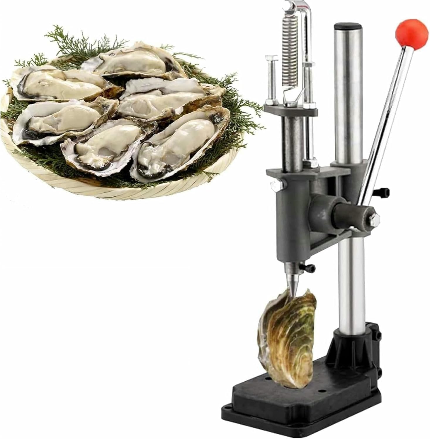 Oyster Clam Opener Machine, Oyster Shucker Tool Set, Thick Metal Base, for Open Oysters, Scallops, Abalone, Shellfish