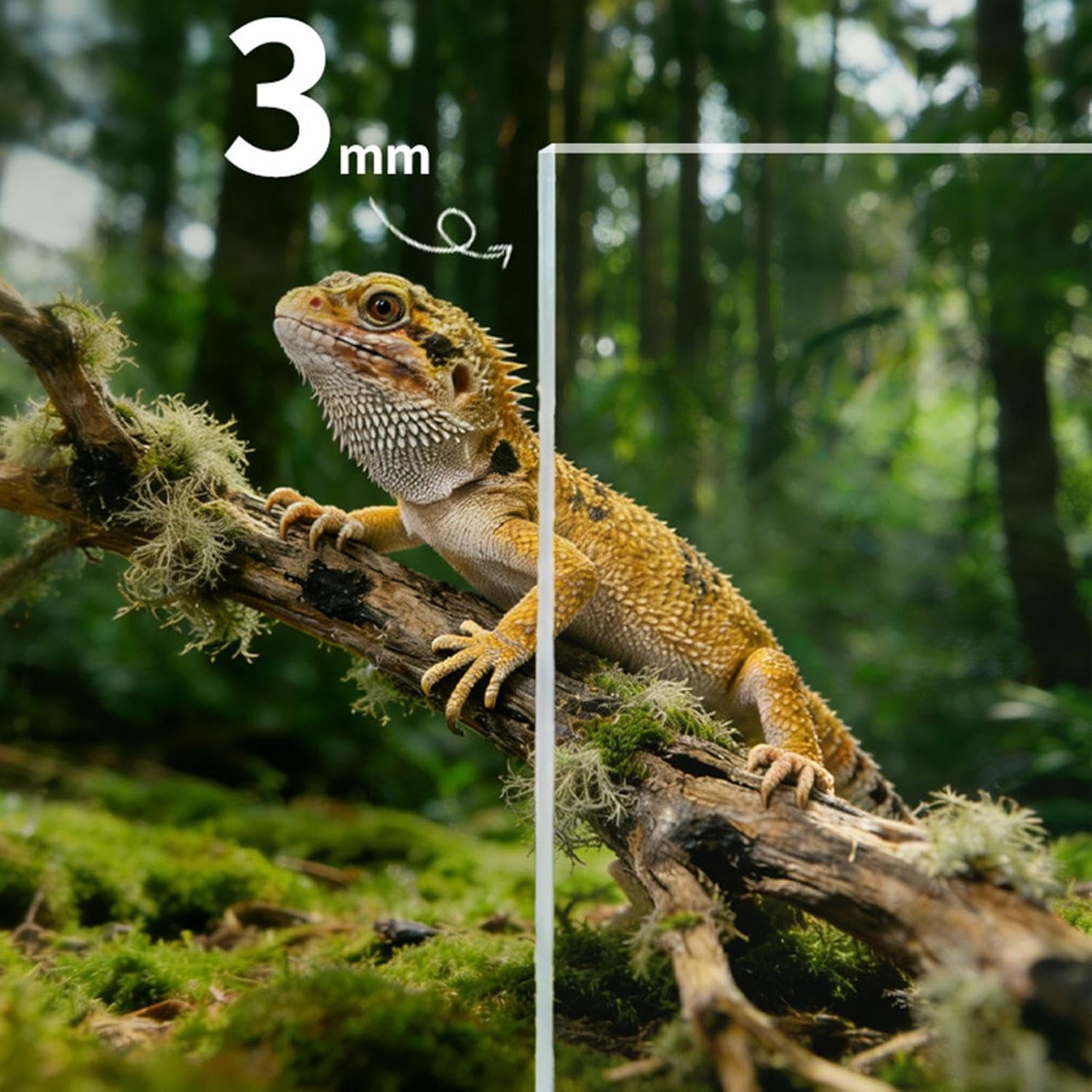 Reptile Terrarium Habitat - Small Pet Display | Convenient 360 Degree Viewing Enclosure for Indoor and Outdoor Use, Insulation Habitat with Easy Access and Block