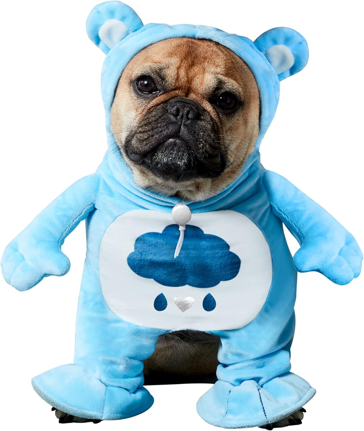 Rubie's Care Bears Grumpy Bear Pet Costume, Small