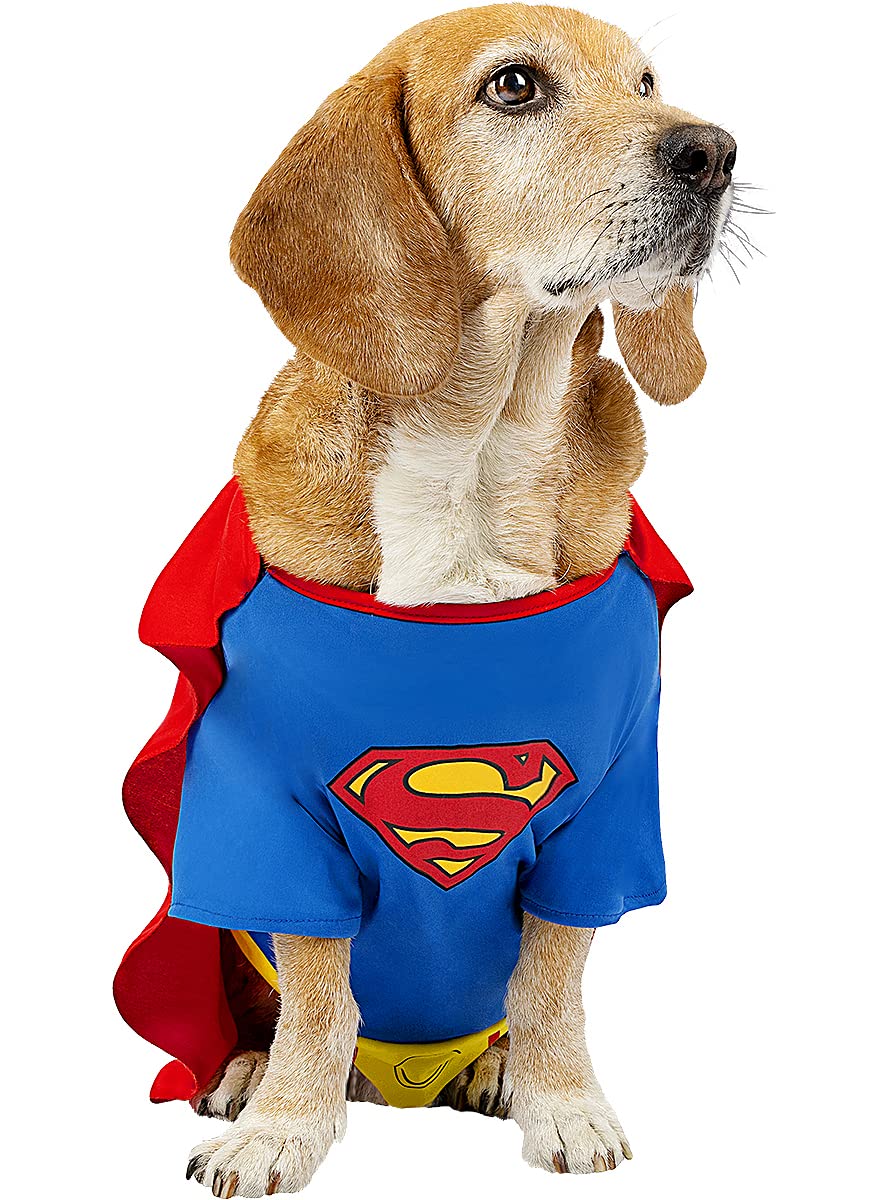 Funidelia | Disfraz de Superman para Perro Hombre de Acero, Superhéroes, DC Comics, Justice League - y Divertidos Accesorios para Fiestas, Carnaval y Halloween - Talla M - Azul