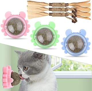 Catnip Balls & Silvervine Sticks Kit, 6 Pack Natural Catnip Toys for Kittens Teeth Cleaning, Matatabi Dental Care, Increase Appetite, Calm Cat Anxiety and Stress, Aggressive Chewers Cat Dental Toy