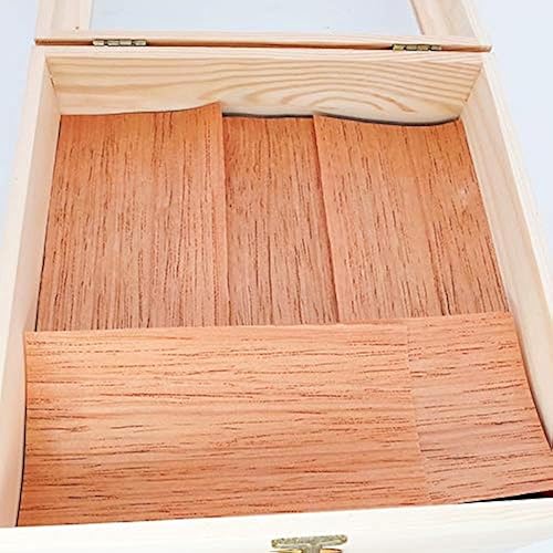 Woho Hojas de cedro español para humidor, chapa de madera de cedro español para dividir o iluminar puros, accesorios de humidor para tarro de tubo y