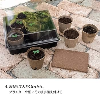 Amazon.co.jp: サカタのタネ【Seedfun.】タネからはじめるかんたん苗