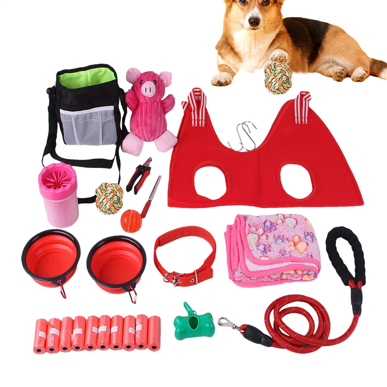 Verschiedene Welpen-Hundespielzeuge – multifunktionales Hundespielzeug, stabiles Spielzeug, sicher für den täglichen Gebrauch, Spaziergänge, , Training | stabiles Spielzeug, sicher für den täglichen Gebrauch, Spaziergänge, , Training