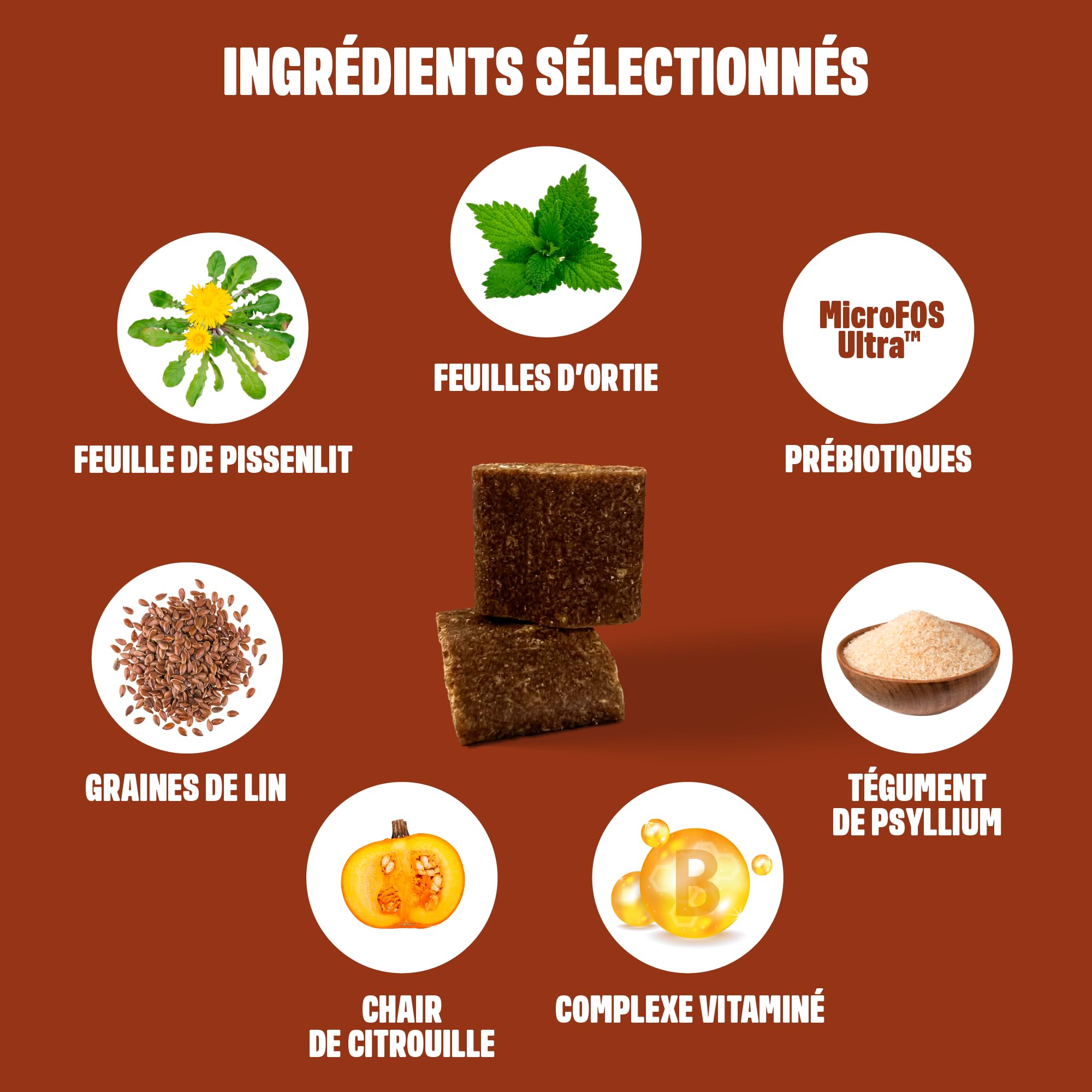 ivvi Anal Gland - 60 Snacks pour la Santé des Glandes Anales des Chiens | Contient Citrouille, Psyllium, Lin, Pissenlit, Ortie et Prébiotiques, à Base de Beurre de Cacahuète 270 g