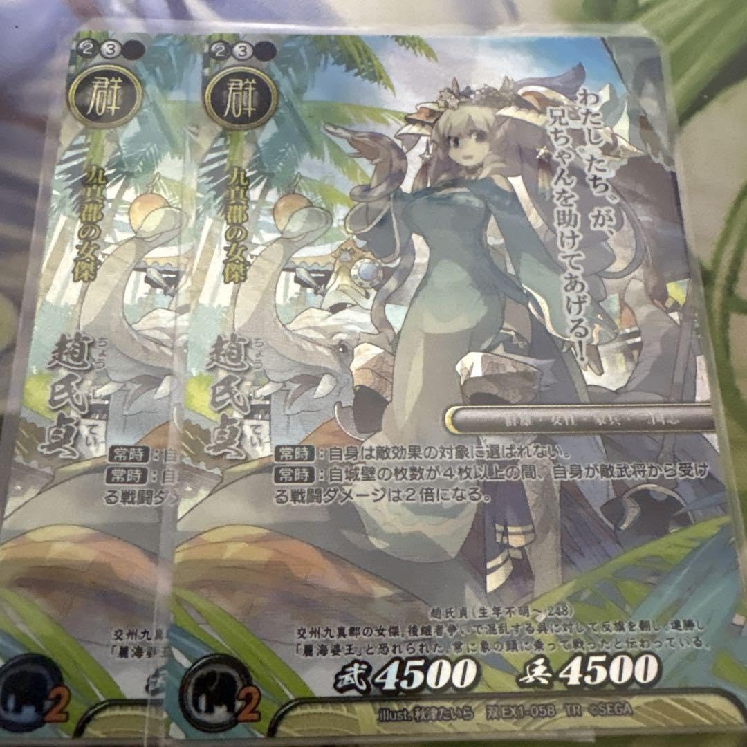 Amazon.co.jp: 戦国大戦TCG双 TR EX 趙氏貞 2枚セット 天下無双