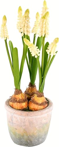 Vickerman Everyday - Jacintos amarillos artificiales para interiores de 10 pulgadas, contenedor de cemento, arreglo decorativo de poliéster