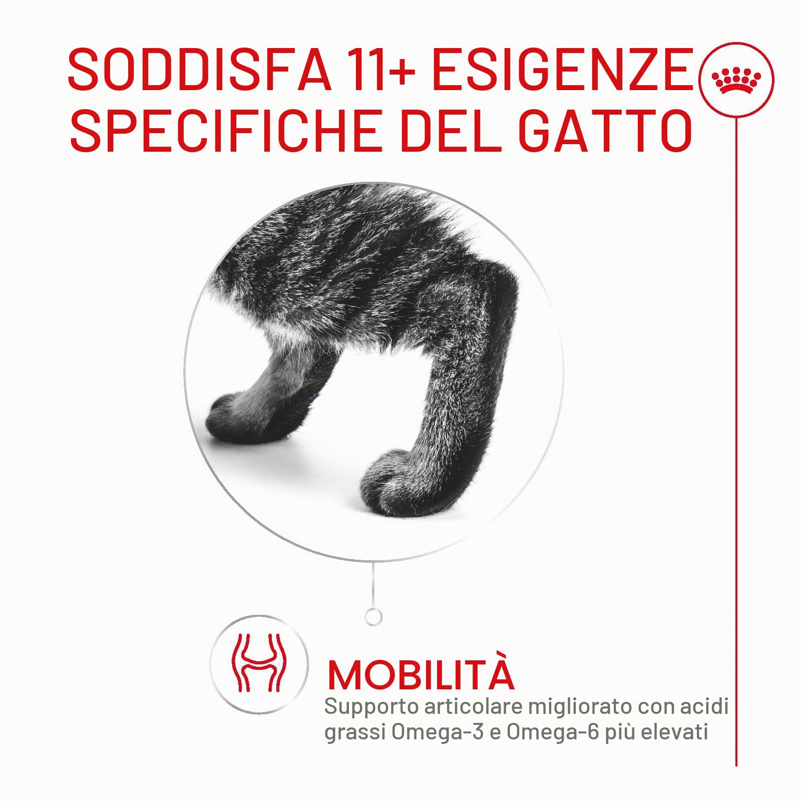 Royal Canin Ageing Sterilised 11+ | 2 kg | Cibo secco per gatti sterilizzati a partire dall'11° anno di vita | Formula con HealthyAge7™ Complex | Contiene crocchette facili da masticare