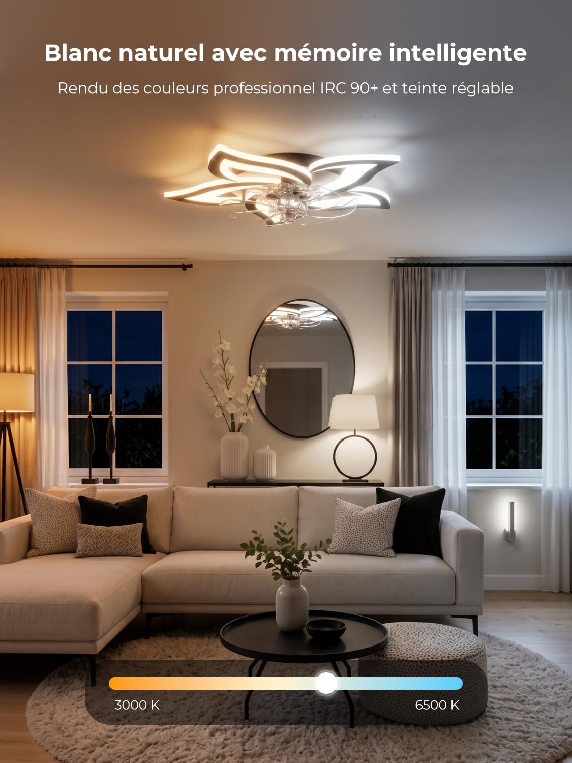 Plafonnier Ventilateur de Plafond Compatible avec Alexa et Google Assistant, Ventilateur Plafond avec Lumiere Silencieux, Moteur DC Eté Hiver, Dimmable, Fonction Mémoire, pour Chambre, Noir