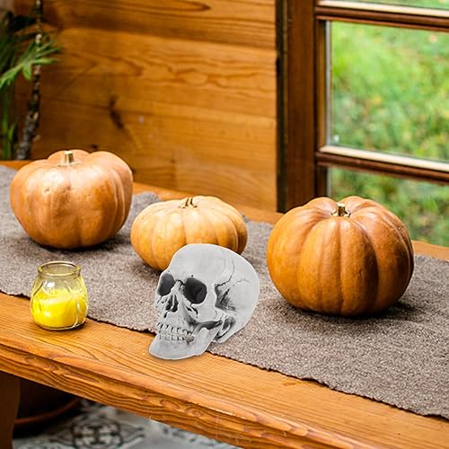 Miniatura 9 de DECHOUS 8 cabezas de calavera de Halloween de plástico cráneos de esqueleto realistas de Halloween a granel, cabezas de esqueleto de 5 pulgadas,