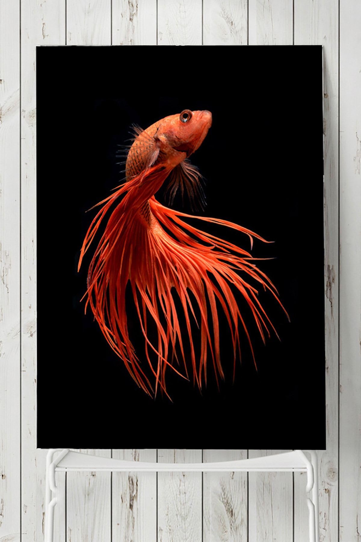 Postermanya (pster8052) Sanatsal Balık Hayvan Posteri 3 (60x90cm)