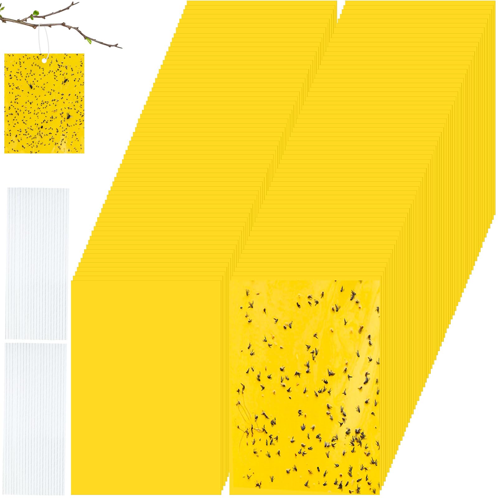 Qualirey 150 trappole adesive gialle per piante, 20 x 9,9 cm, per moscerini, con legami intrecciati, trappole per mosche, per frutta, insetti, funghi, insetti per interni ed esterni