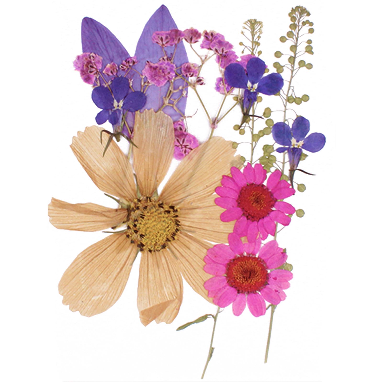 105 Fiori Secchi Pressati - Set Per Decorazioni, Nail Art, Fai Da Te - Foto 5