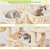 Ver la foto 6
