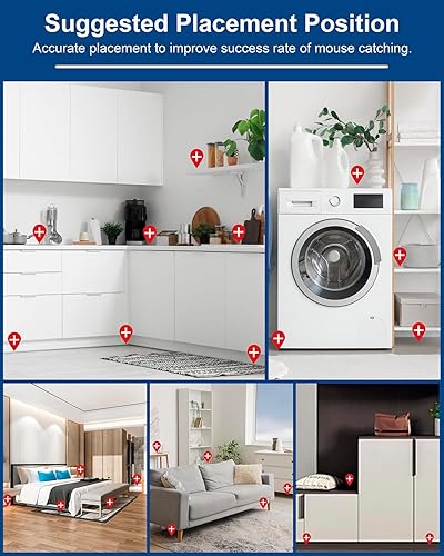 Miniatura 4 de Trampas adhesivas para ratas y ratones, paquete de 2, trampas grandes a granel, para interiores del hogar, bandeja adhesiva de plástico