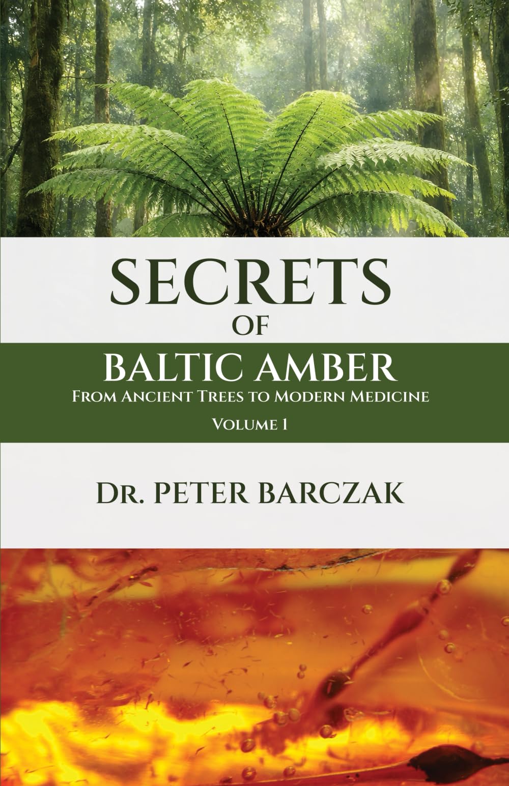 SECRETS OF BALTIC AMBER: FROM ANCIENT TREES TO MODERN MEDICINE