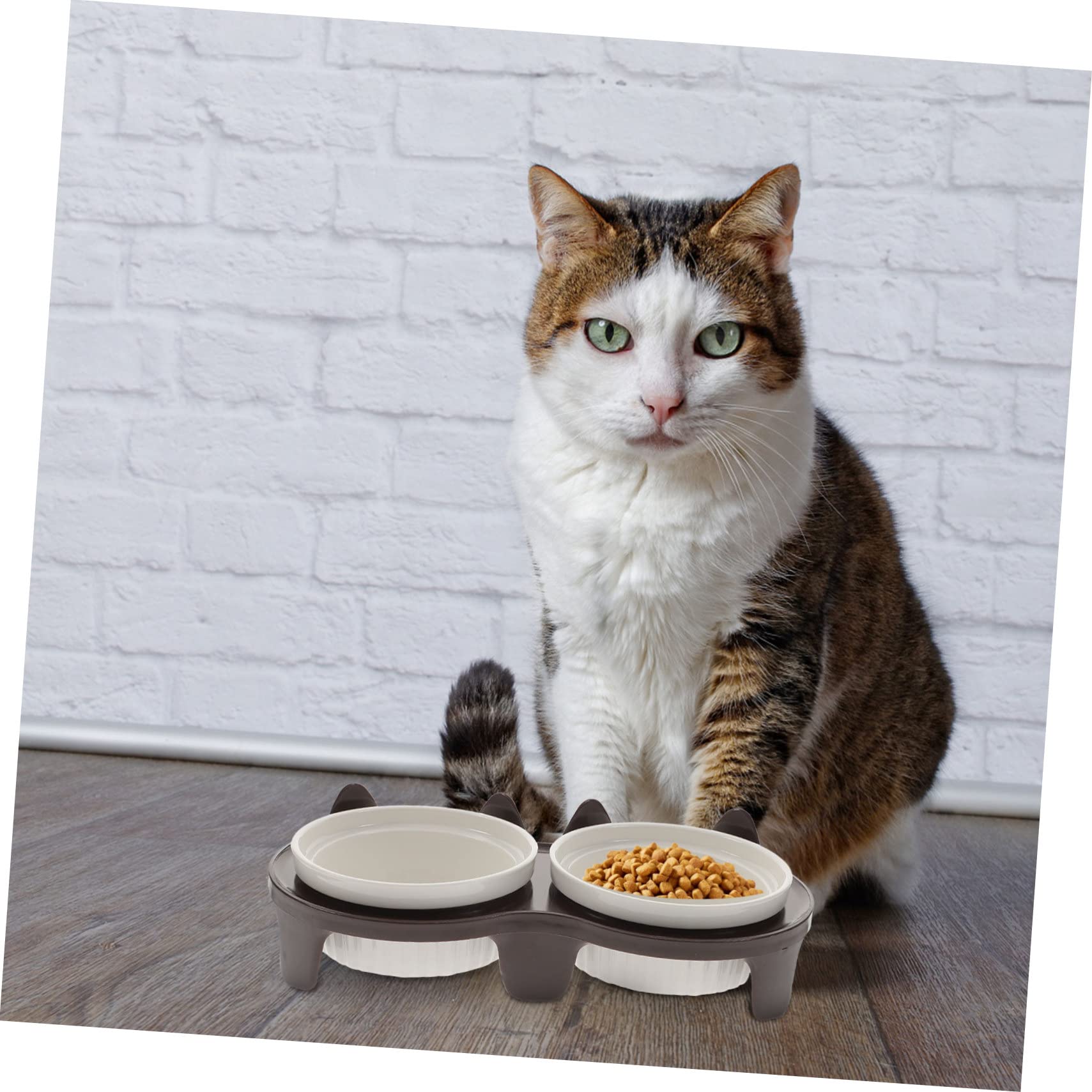 Gamelle Chat Surélevée et Inclinée en Céramique, Lot de 1 Set de Set