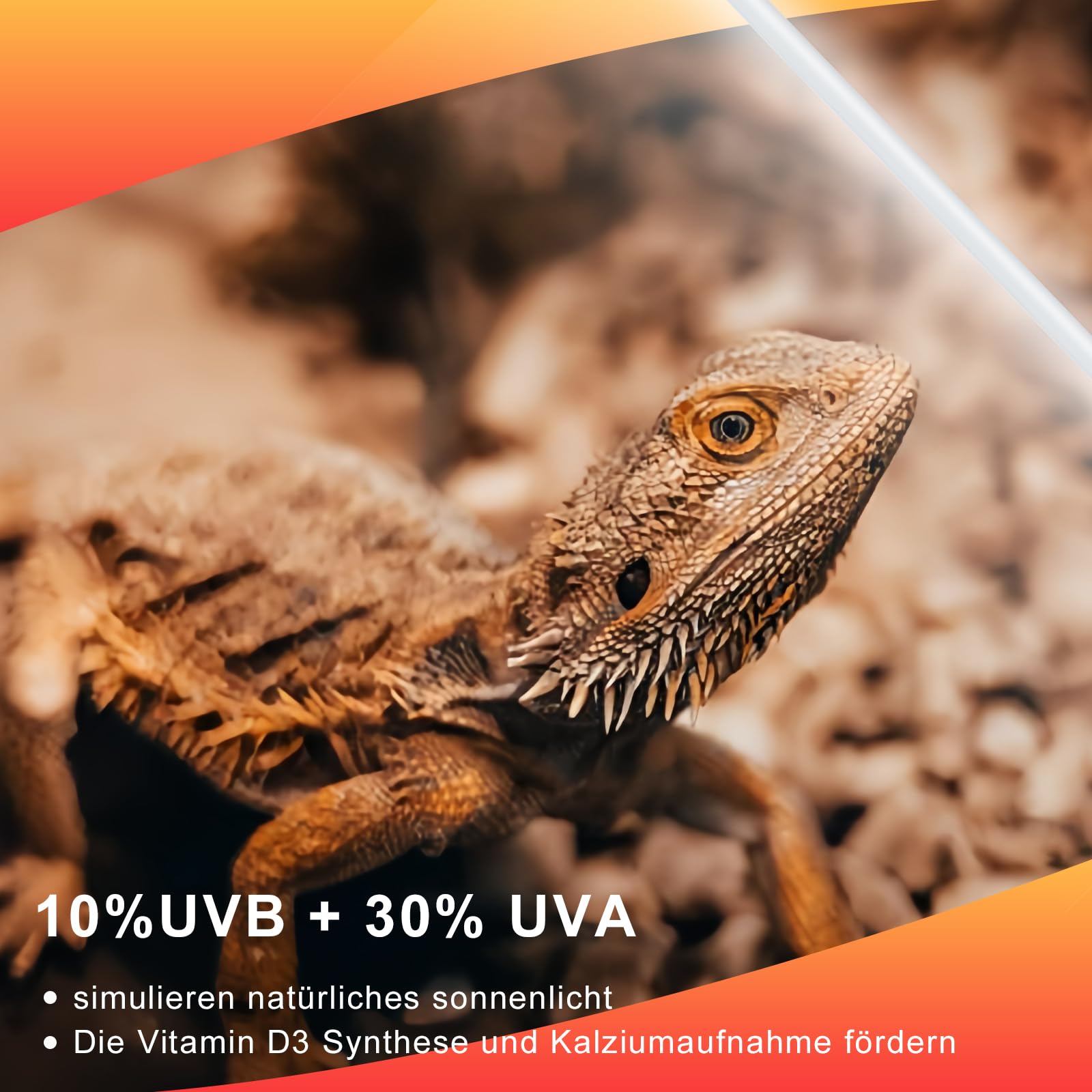 LUCKY HERP T5 UVB Lampe Terrarium, UVB 10.0 Reptilien Leuchtstoffröhre 8W-2stück, UVA UVB Terrarium Lampe für Eidechsen, Schildkröte, Chamäleon, Leopardgecko