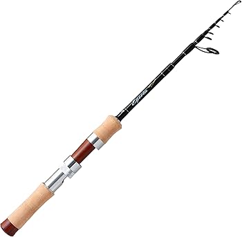 Amazon | パームス(Palms) エゲリアネイティブパフォーマンス