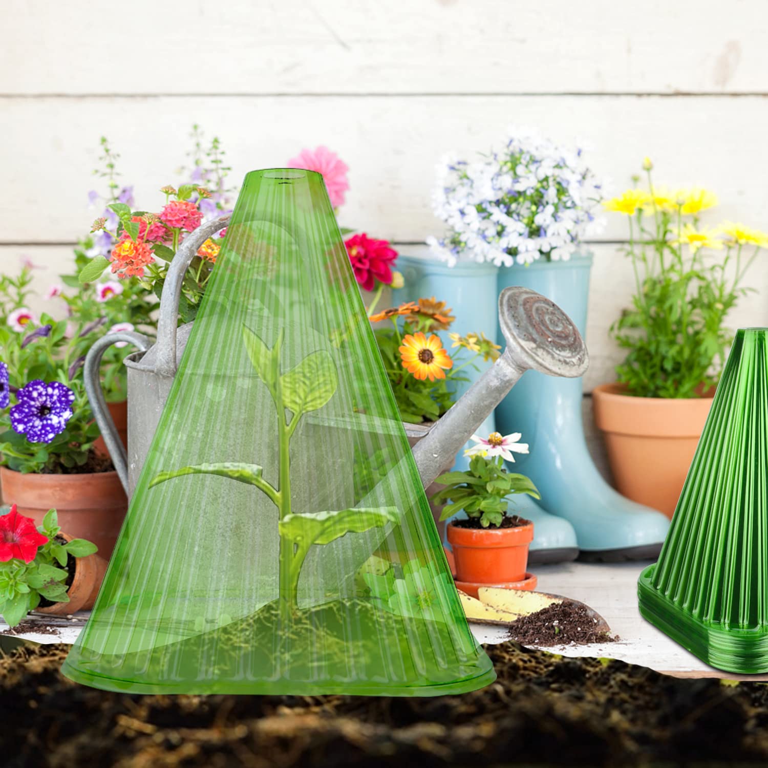 Cloches Da Giardino Per Piante La Copertura Della Campana Delle Piante Riutilizzabili Protegge Le Piante Dagli Uccelli Dalle Lumache Del Gelo