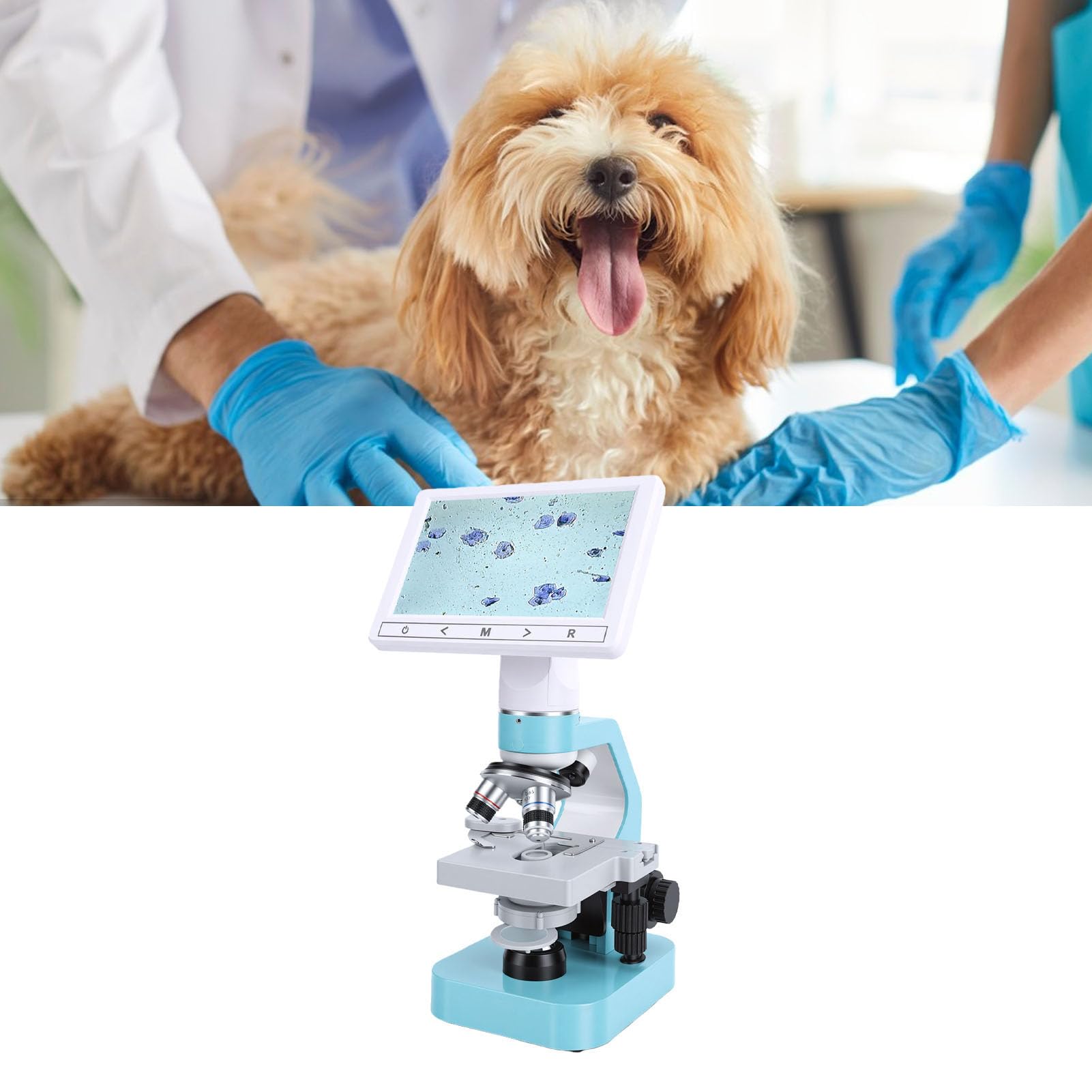 Generic Microscopio Binocular para Mascotas Microscopio Binocular Veterinario de Ovulación Animal Pantalla de 7 Pulgadas 4X 10x 40x Objetivos Acromáticos Luz LED para
