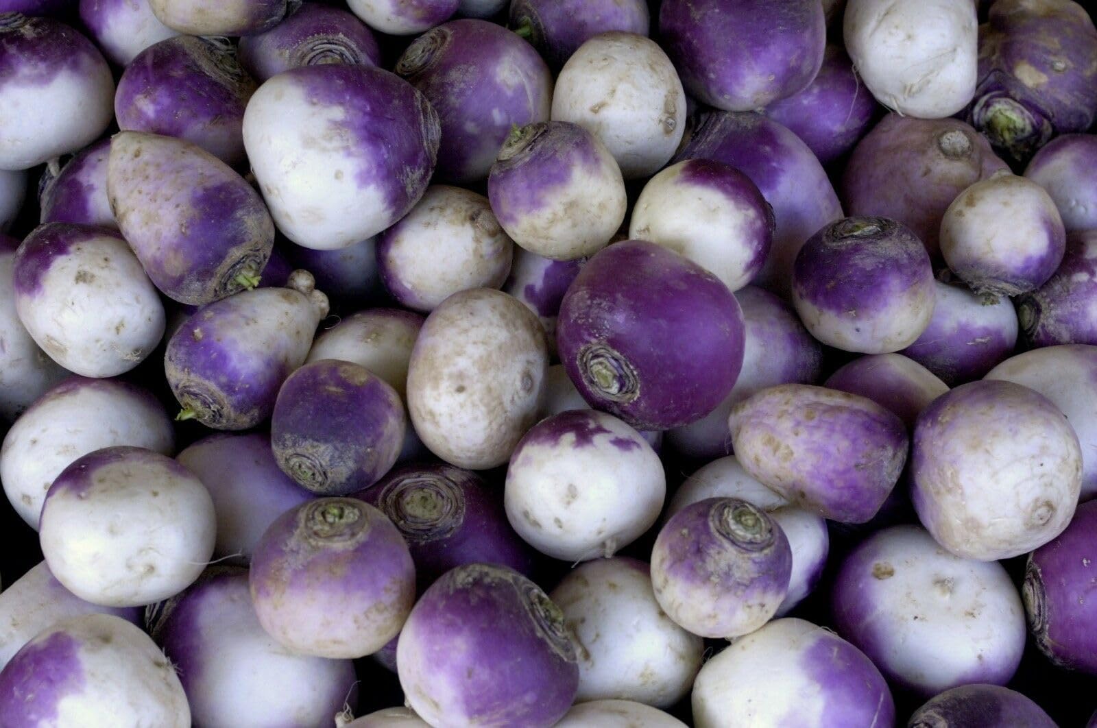 Buy4seeds 1000 Seeds Swede Rutabaga American Purple top Easy to Grow