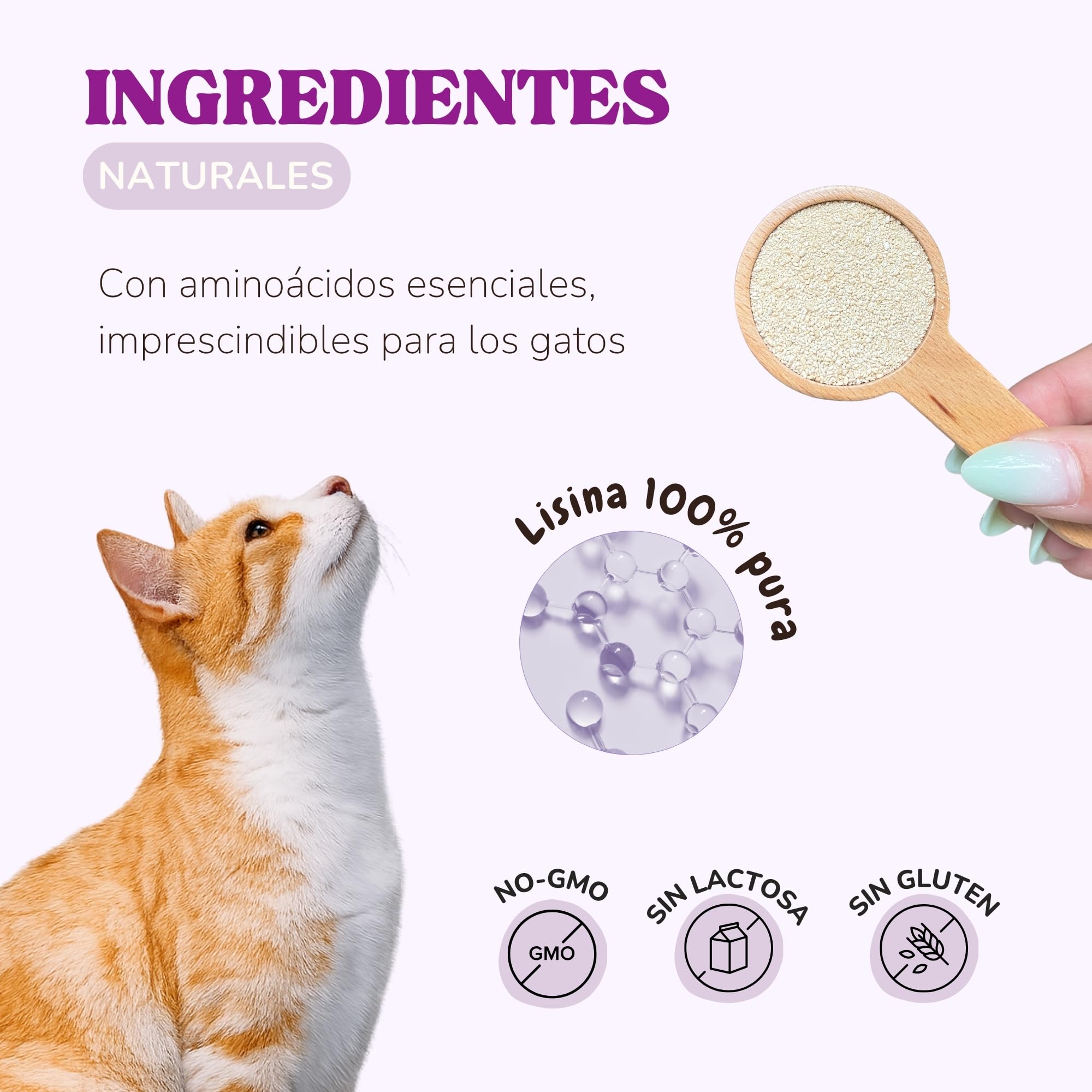 Lisina Gatos con Aminoácidos Esenciales para Reforzar el Sistema Inmunitario, Apoyar Las Vías Respiratorias y Prevenir el Herpes Felino, Suplemento Natural para Todas Las Razas y Edades