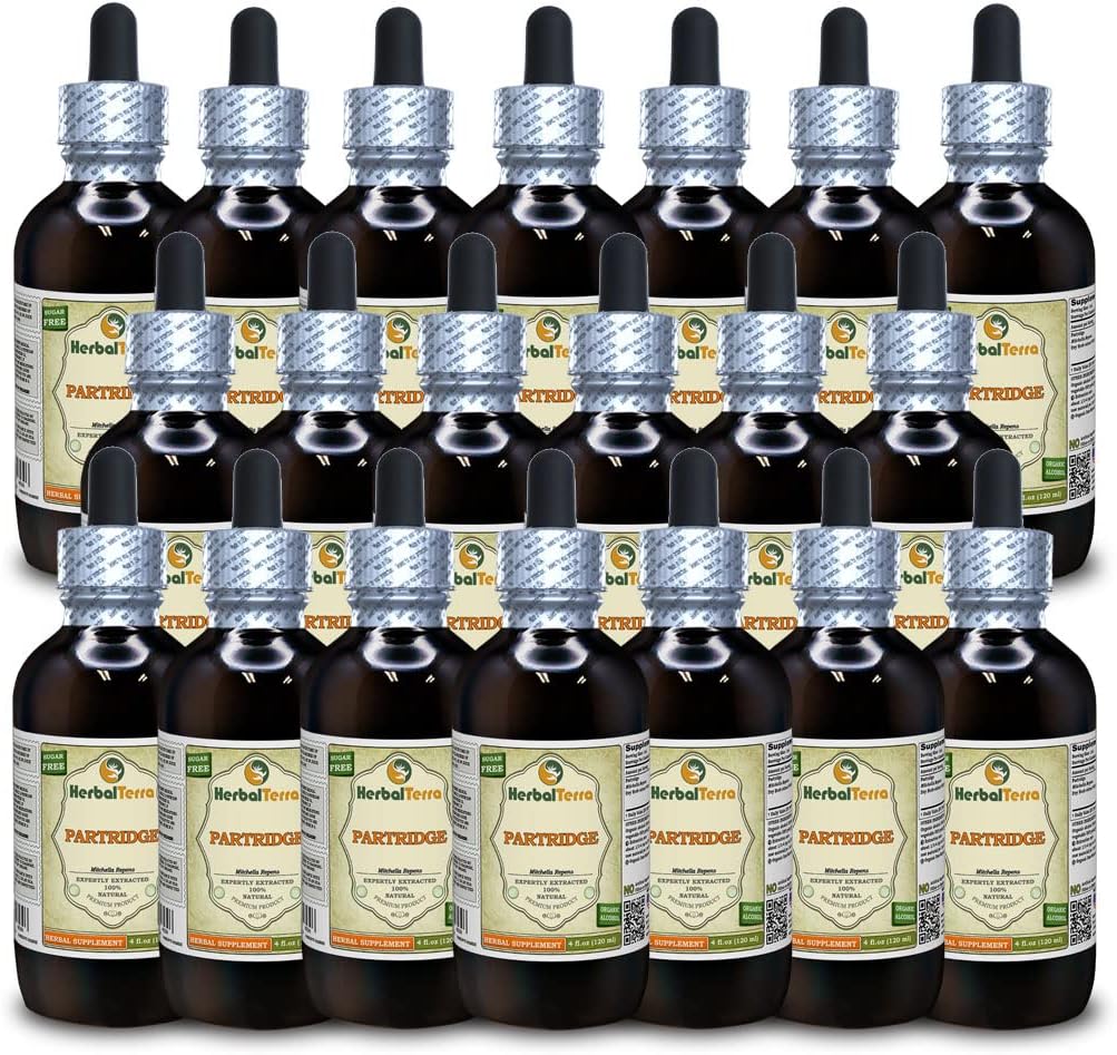 Partridge Berry (Mitchella Repens) Tincture, Dried Herb Liquid Extract (Brand Name: HerbalTerra, Proudly Made in USA) 2x4 fl.oz (2x120 ml)