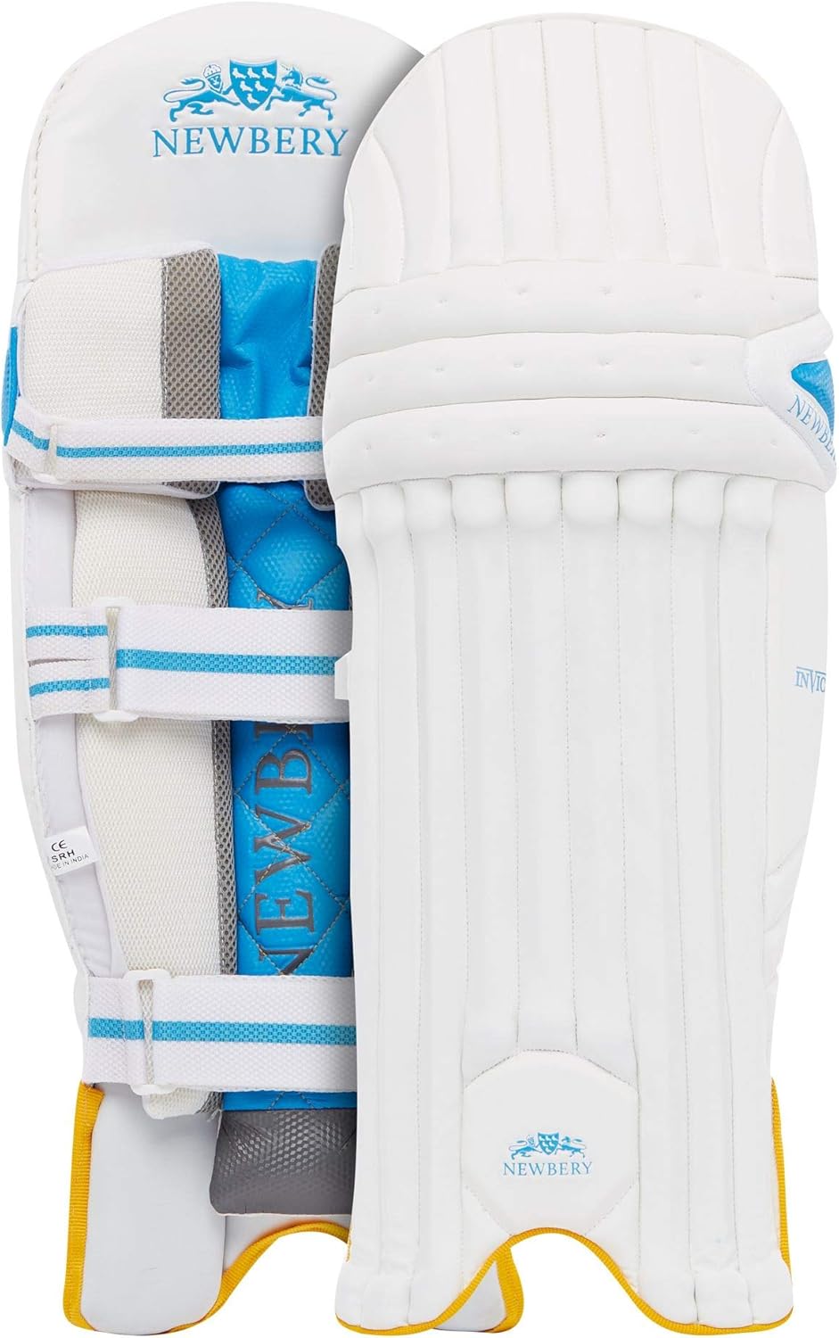 White/Blue Newbery Cricket UnisexYouth Invictus Batting Gloves Small Senior Batting Gloves