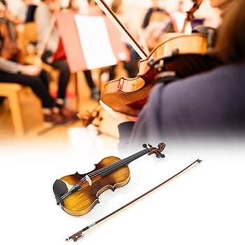 Amazon | 弦楽器キット、バイオリンセットサイズ4/4ブライト