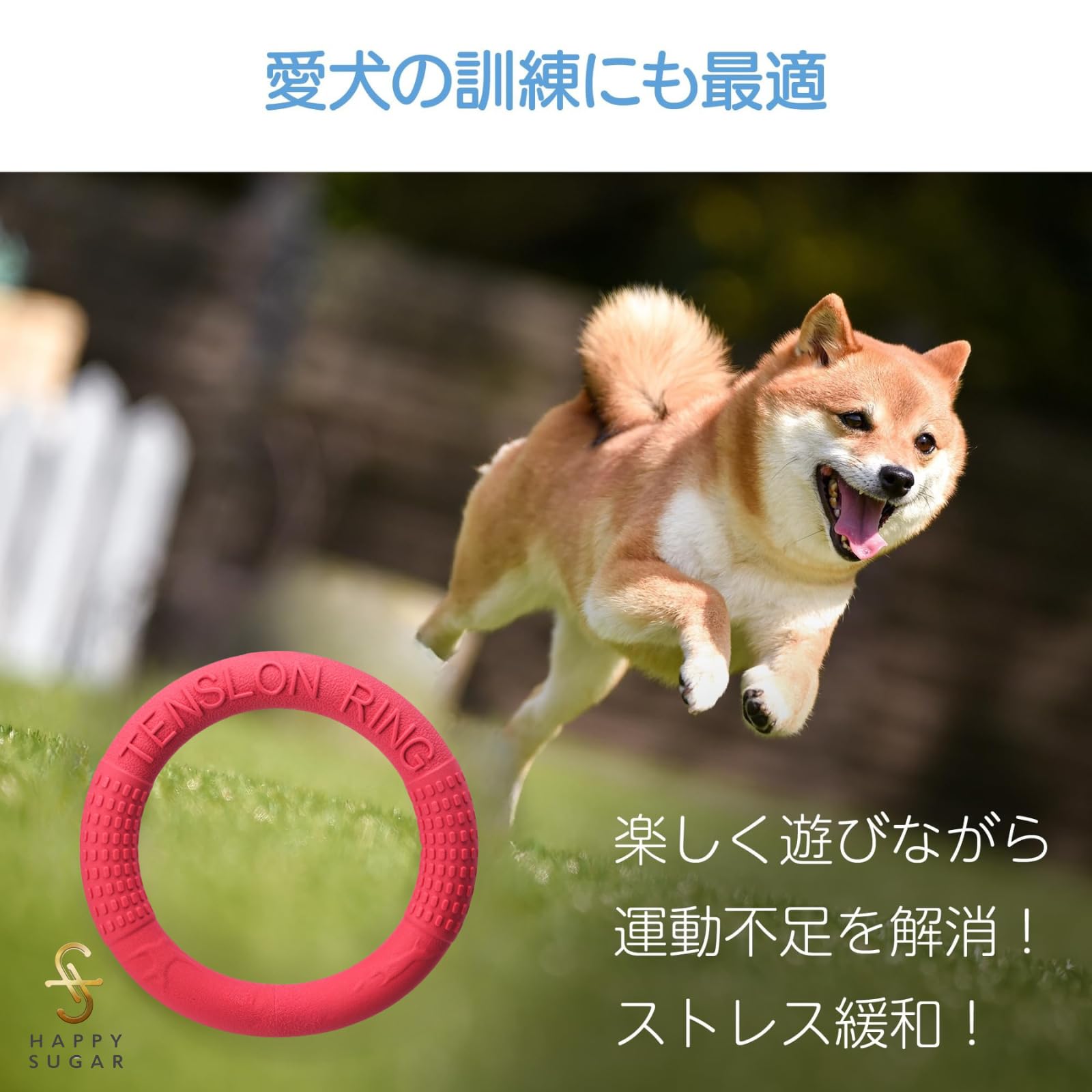 Amazon | HAPPY SUGAR 犬 輪っか リング おもちゃ フリスビー 中型犬