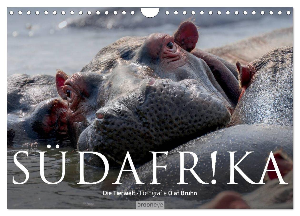 Südafrika - Die Tierwelt (Wandkalender 2026 DIN A4 quer), CALVENDO Monatskalender: 12 wunderschöne Tieraufnahmen aus Südafrika von dem Fotografen und Grafik-Designer Olaf Bruhn (CALVENDO Natur)