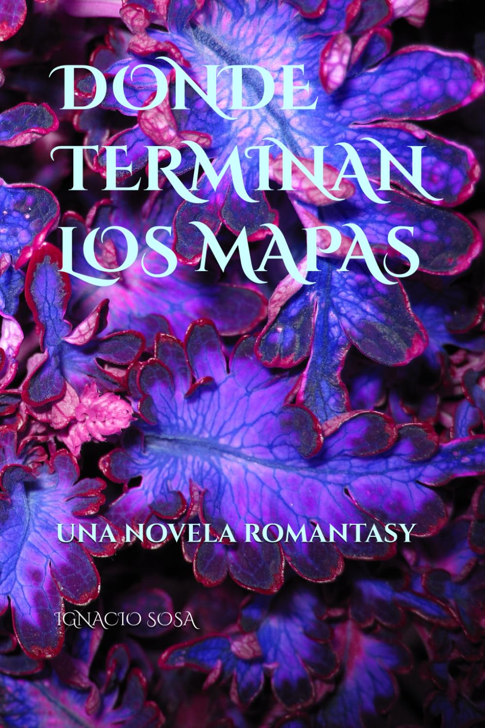 Donde terminan los mapas: Una novela romantasy