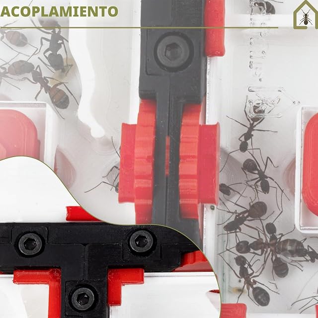 Foto 4 de 7 de Anthouse.es - Hormigueros Modulares 3D - Modelo QBIK Fundación - Terrario Ampliable para Colonias de Hormigas