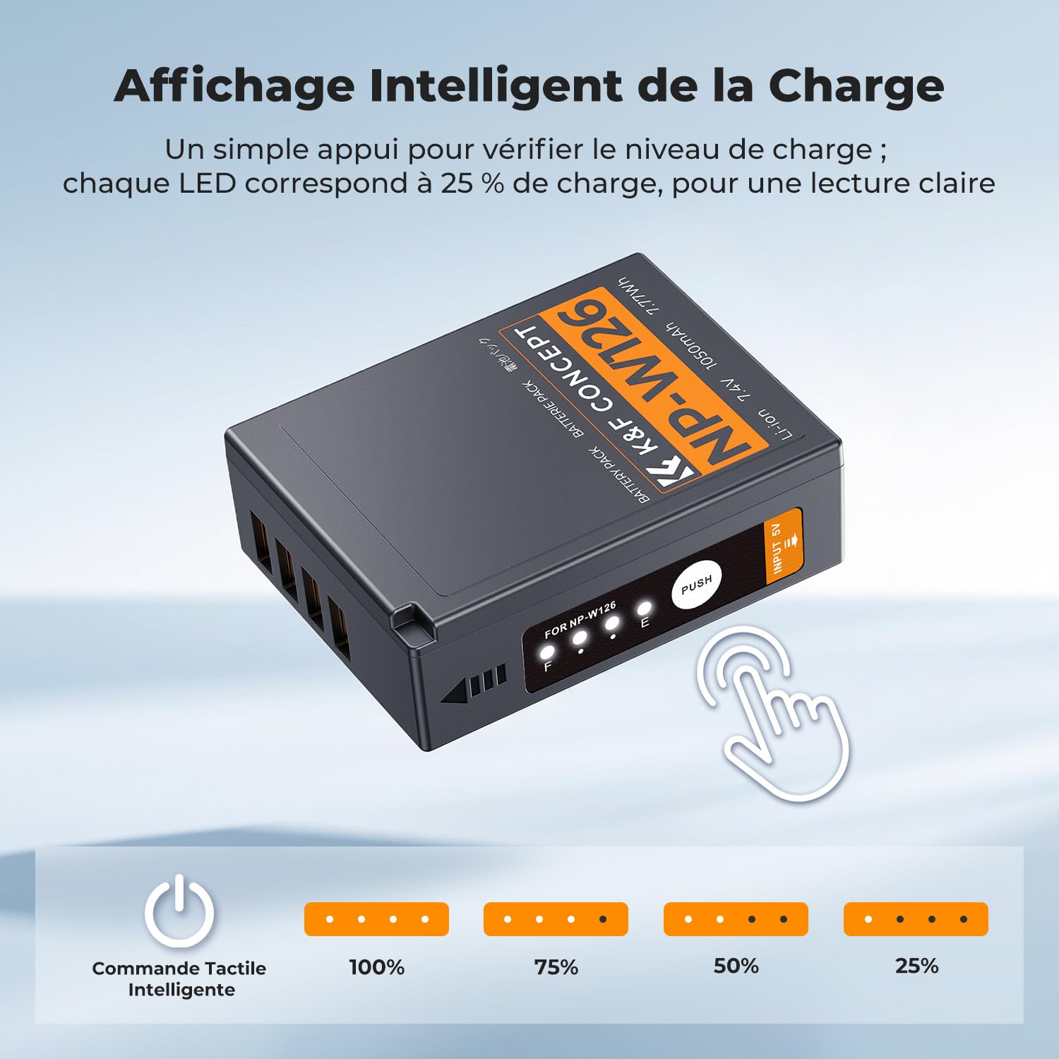 K&F CONCEPT 2 NP-W126S Batteries à Charge Directe avec Indicateur de Charge