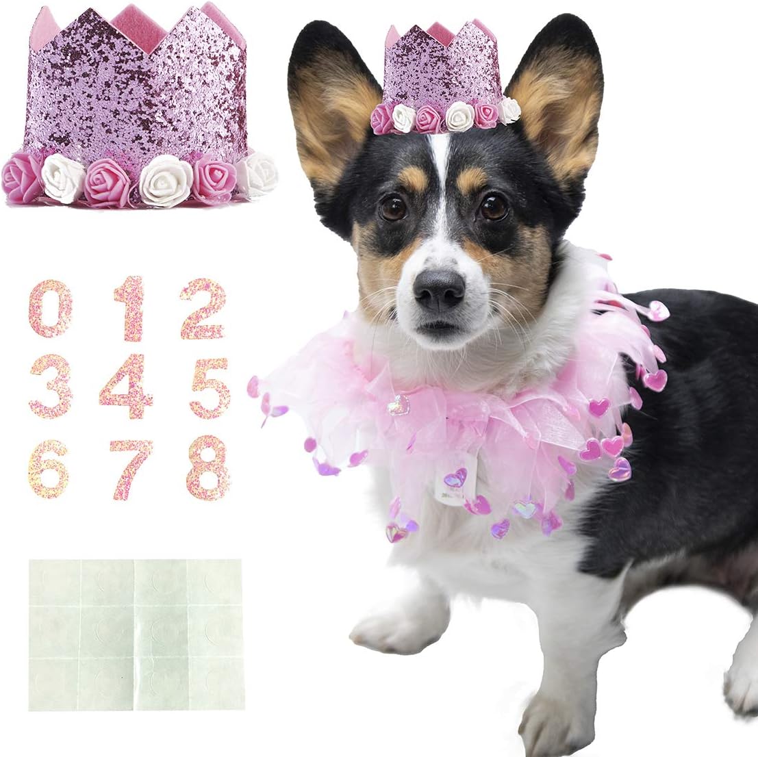Coomour Dog Birthday Collar Pet Tutu Costume Funny Pet with Birthday Crown Hat for Cat Puppy Party Supplies (Large)