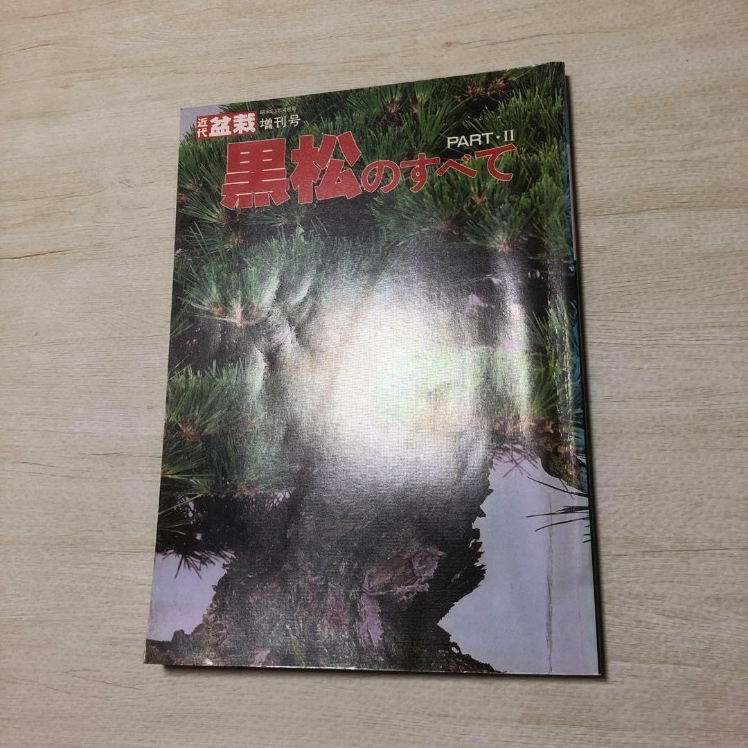 翡翠 岫玉（しゅうぎょく）のかぼちゃの置き物