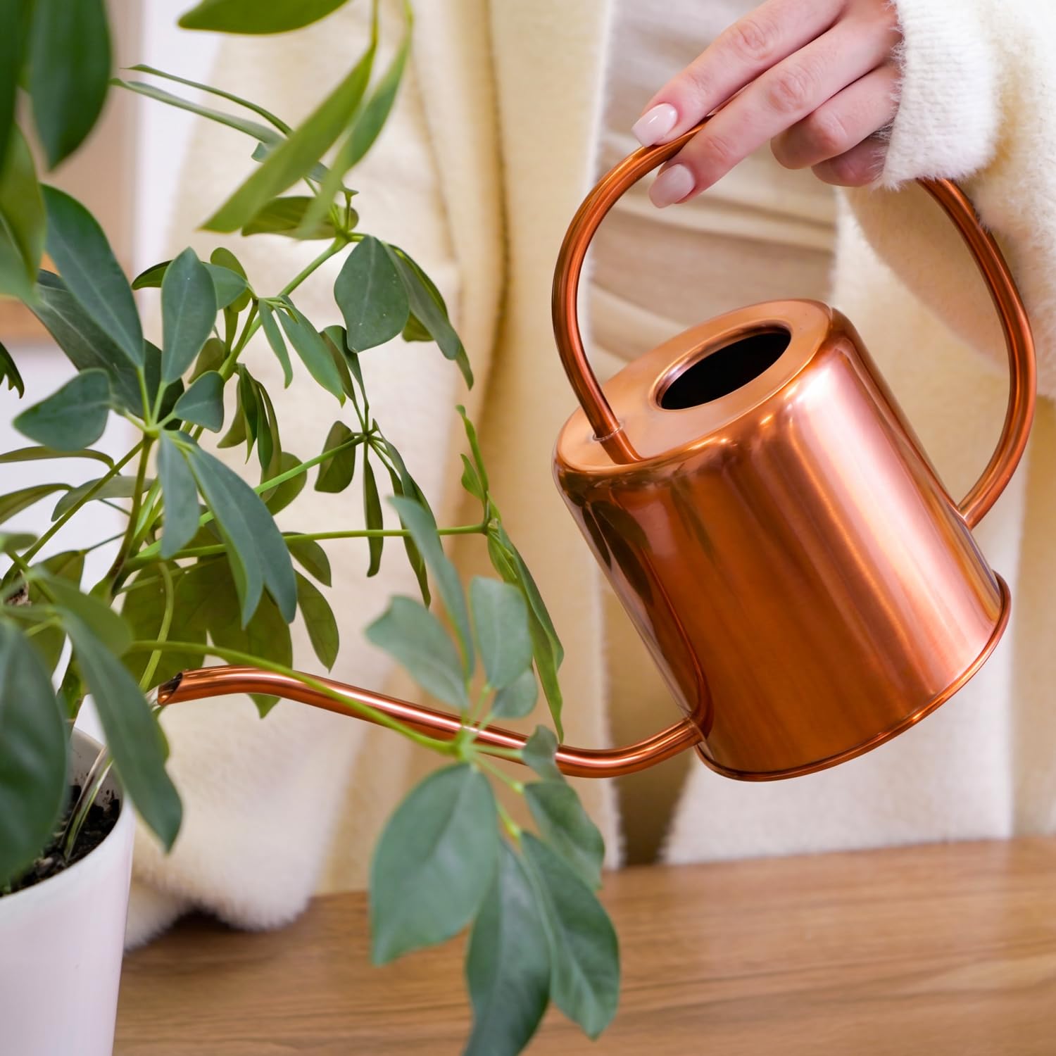 Plexon Metall-Gießkanne für Zimmerpflanzen, 1,5 l, Edelstahl, langer Auslauf, Gießkanne für den Außenbereich, Haus, Pflanze, Blume, Garten