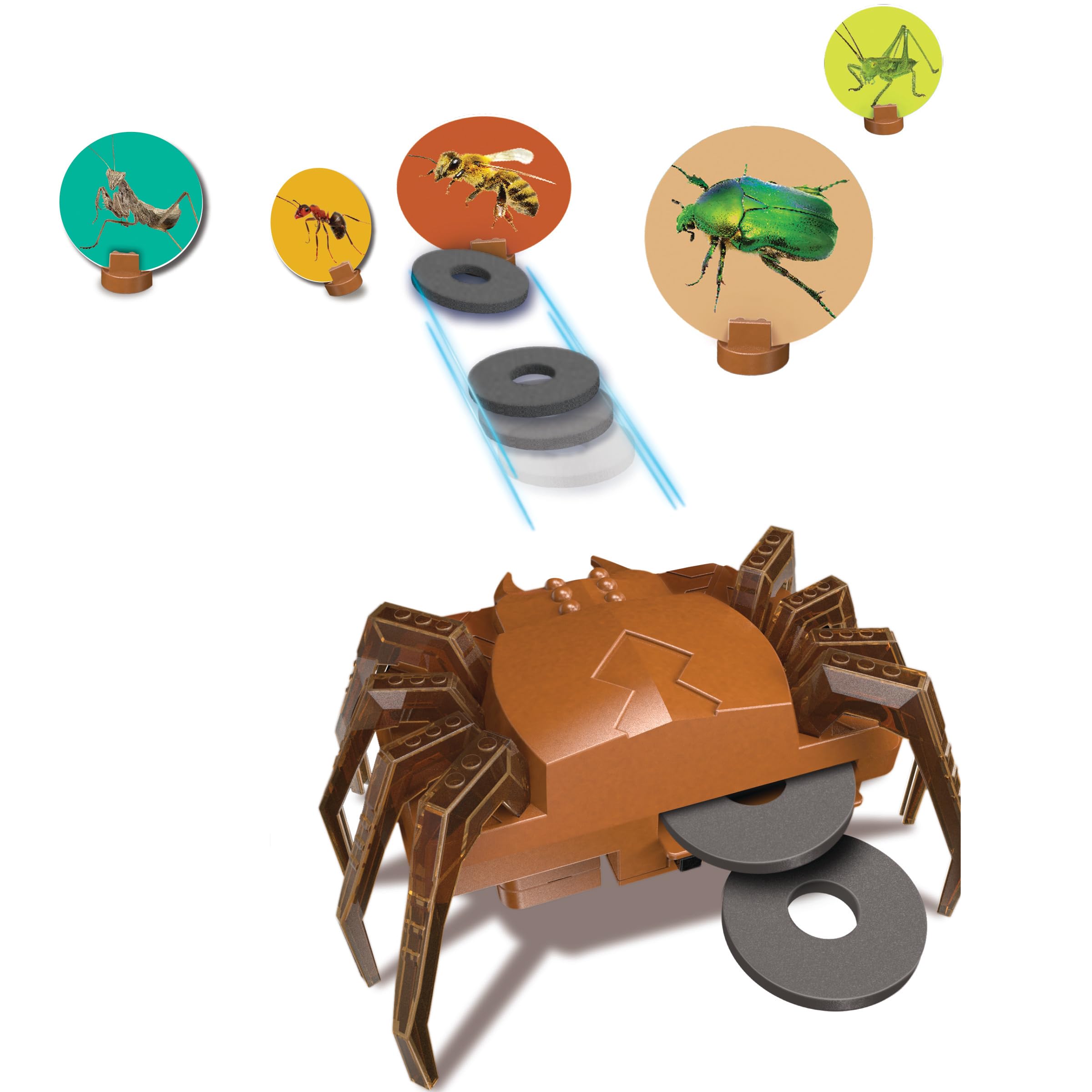 4M KidzRobotix Ragno Robot - Kit Scientifico Per Costruire Un Ragno Meccanico Che Cammina, Gioco STEM 8+ Anni - 2