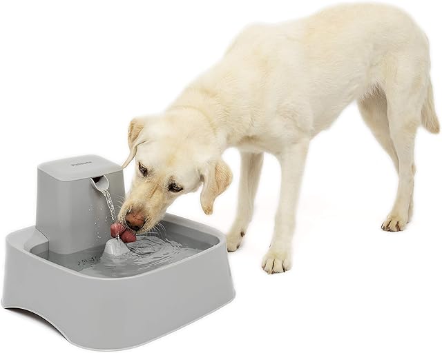 PetSafe Drinkwell Dog and Cat Water Fountain, Suitable for Large Dog Breeds and Multiple Pet Households, Easy-to-clean Design, Filter Included, 7.5 Litres