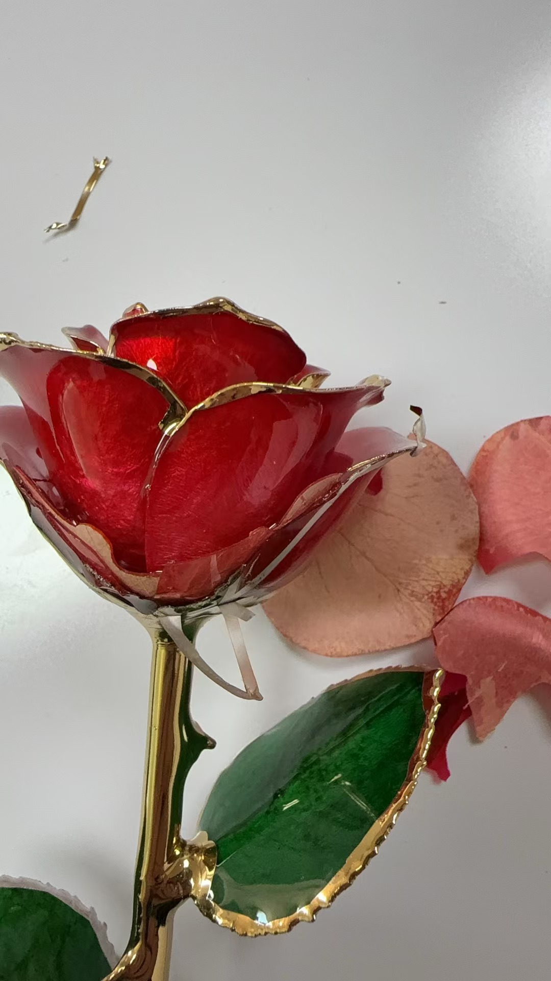 Gold Dipped Rose - Hand-Dipped Real 24K Gold Rose - Genuine One of a Kind - Eternal Romantic Present for Her - Perfect for Valentines, Mother's Day, Anniversary, Birthday (Red)