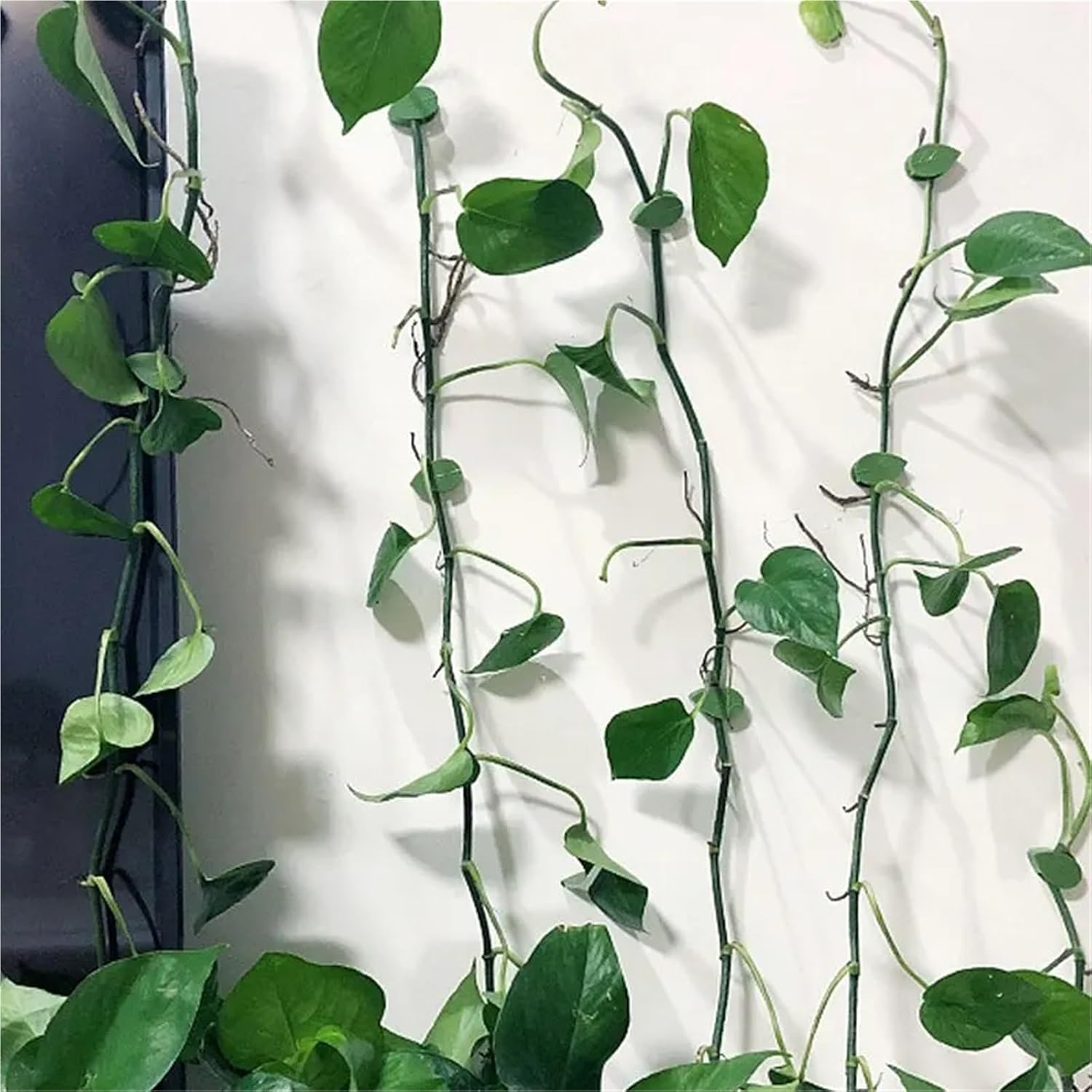 Plant Clips 300 PCS Plant Climbing Wall Fixer Leaf Type Green Plant Invisible Fixing Device for Gardening