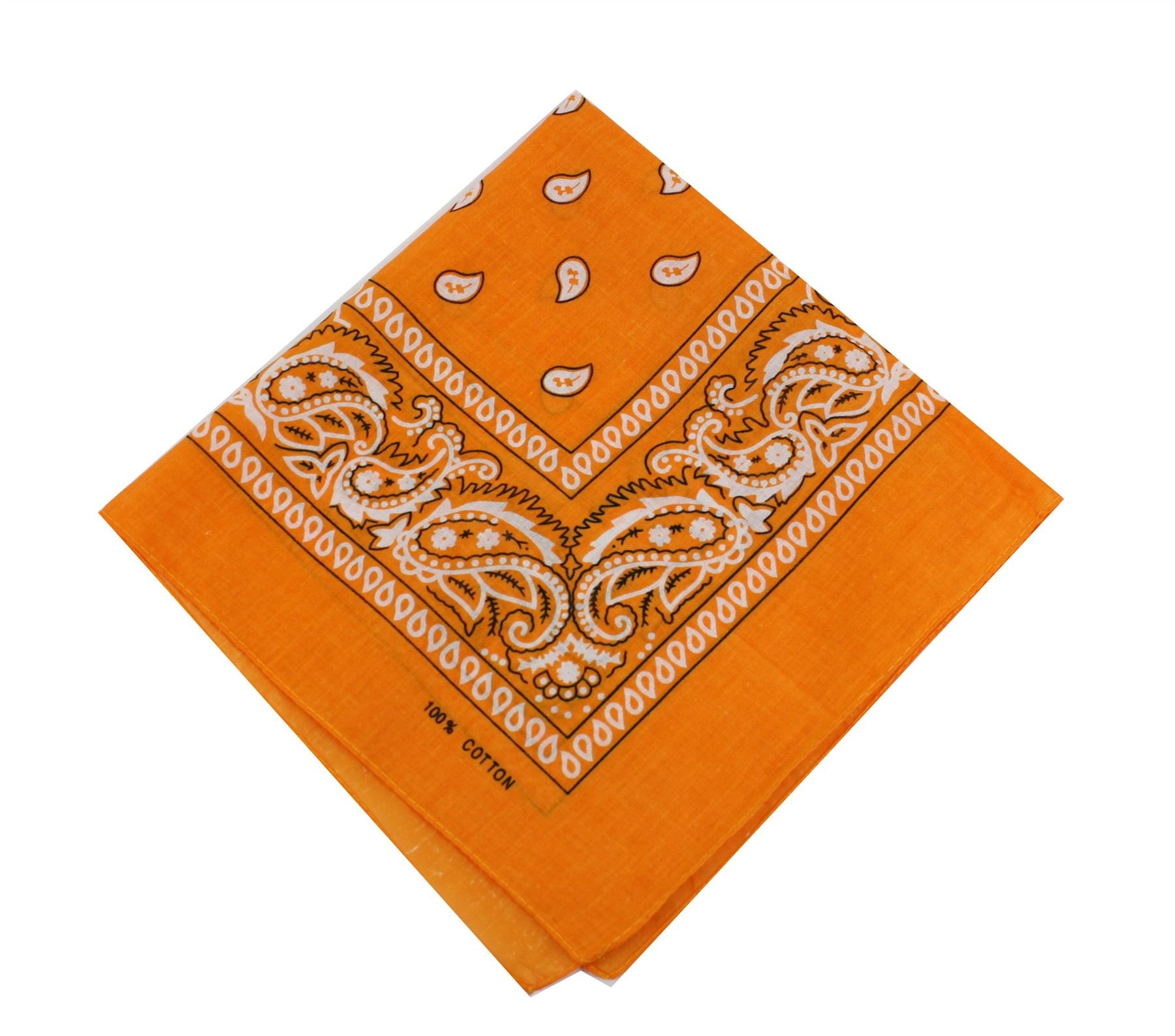 Paisley Bandana Bandanna Headwear Hair Bands Scarf Neck Wrist Wrap Headtie Band