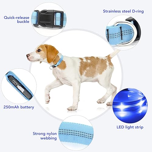 Miniatura 3 de Weesiber Collares de perro con luz LED, collar recargable con luces LED, luces reflectantes ajustables para perros para caminar por la noche (azul,