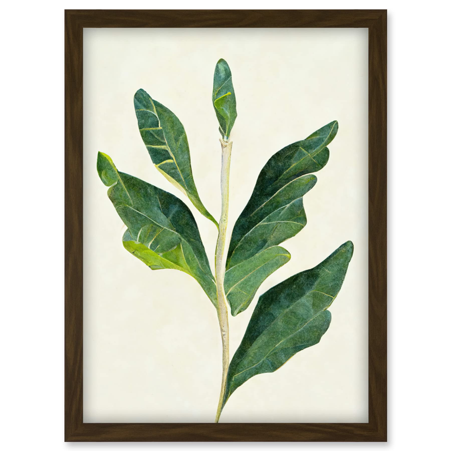 Doppelganger33 LTD Detail Of Rubber Fig Plant Botanical Illustration Artwork Framed Wall Art Print A4
