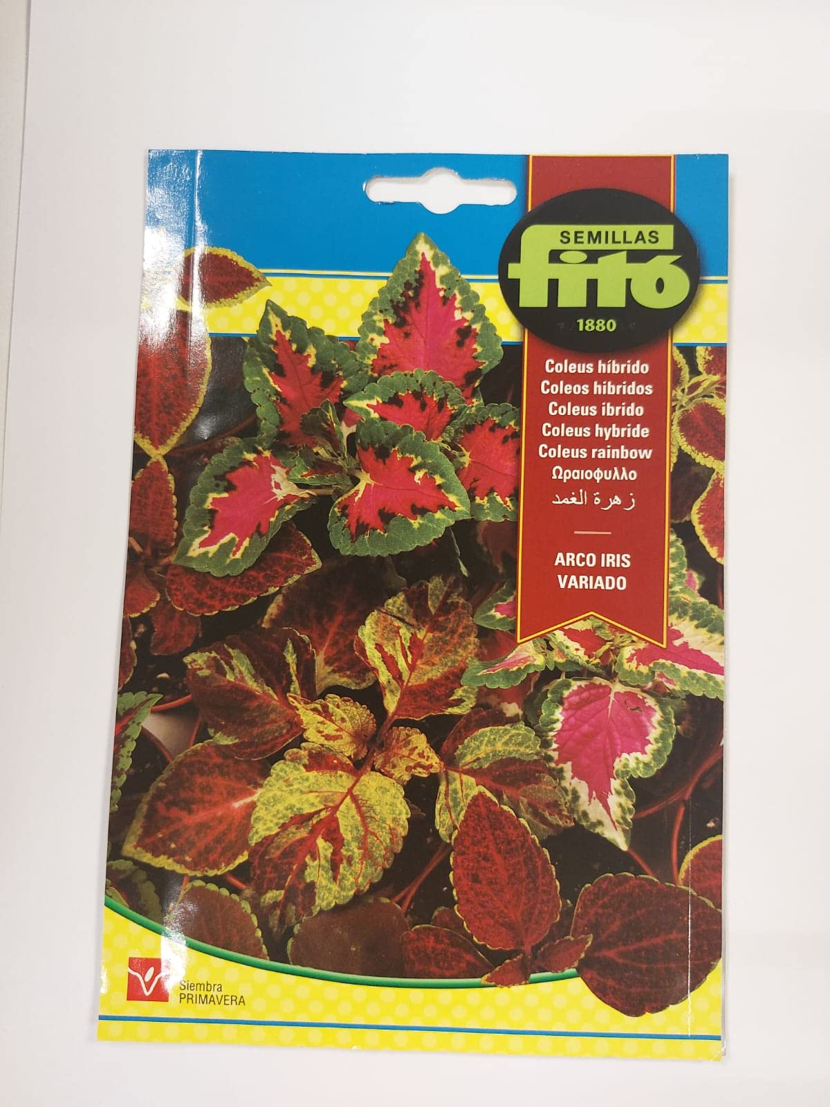 SEMILLAS FITO COLEUS RAINBOW- ARCO IRIS VARIADO