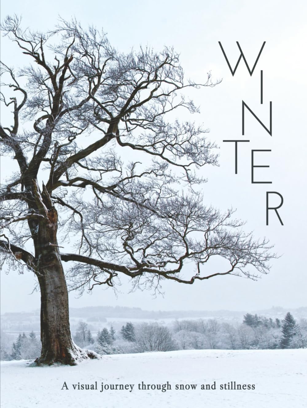 WINTER: A visual journey through snow and stillness (THE COFFEE TABLE BOOKS)      Hardcover – November 19, 2025