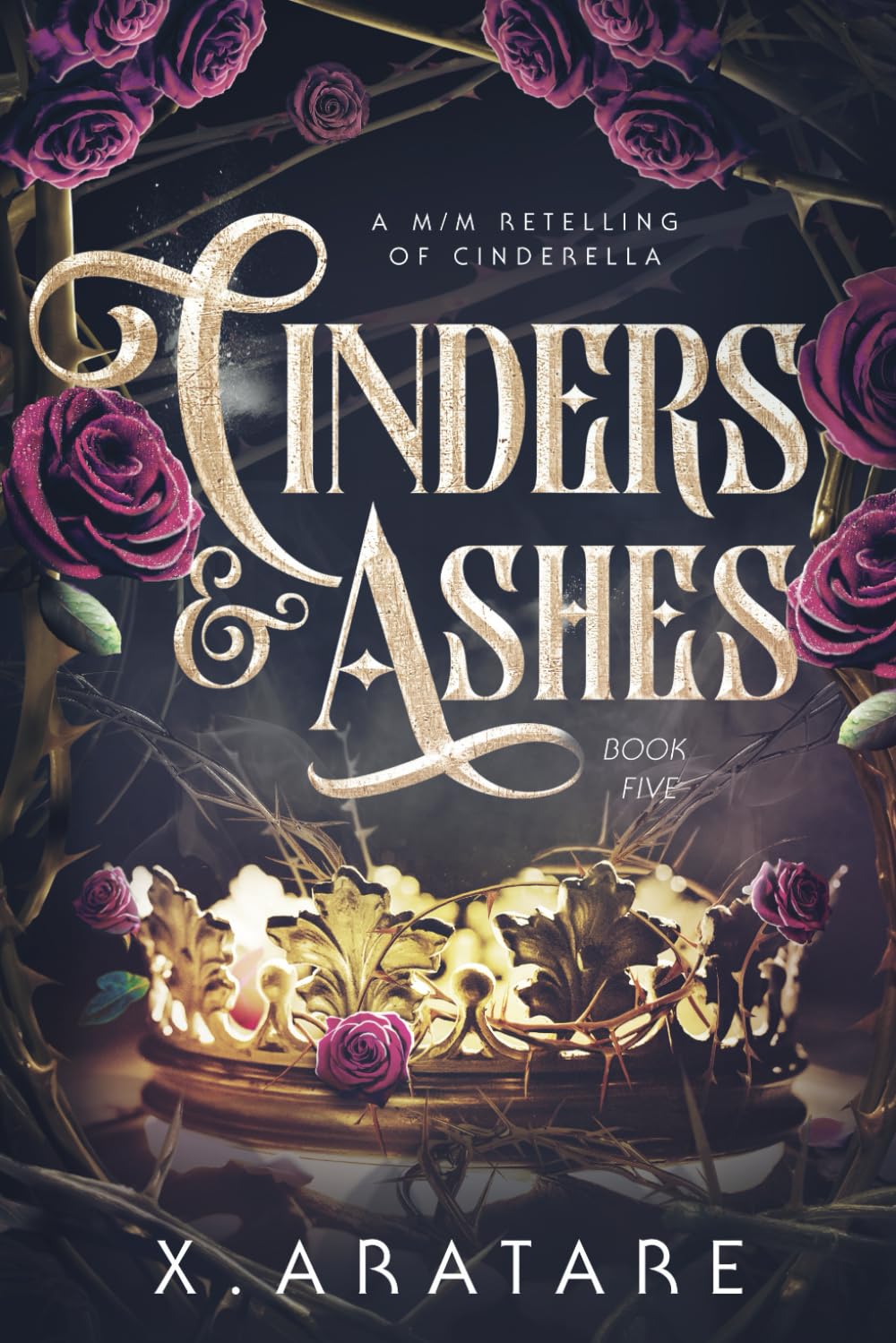 Cinders & Ashes Book 5: A Gay Retelling of Cinderella