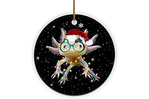 Hyturtle Christmas Ornament Gifts for Axolotl Lover: A Festive Ceramic Keepsake